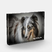Shetland Sheep Dog Fotoblokken (Links)