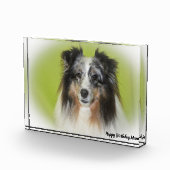 Shetland Sheep Dog Fotoblokken (Rechts)