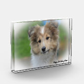 Shetland Sheep Dog Fotoblokken (Links)