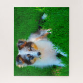Shetland Sheep Dog Jigzaag. Legpuzzel (Verticaal)