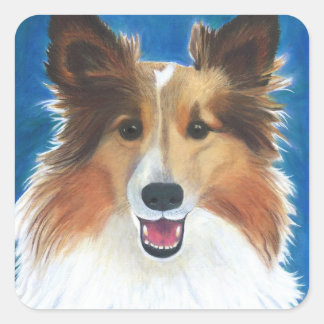 Shetland Sheep Dog Vierkante Sticker