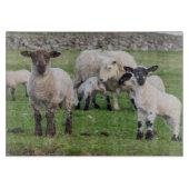 Shetland Sheep Snijplank (Voorkant)