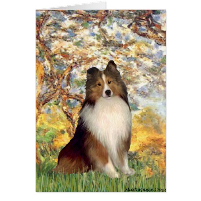 Shetland Sheepdog 1 - Voorjaar (Voorkant)
