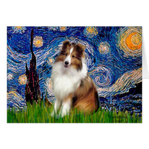 Shetland Sheepdog 4 - Nuit étoilée