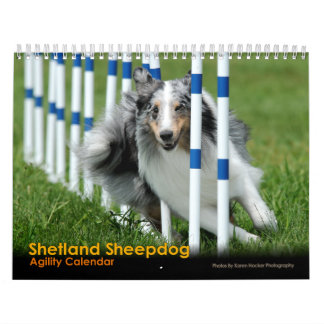 Shetland Sheepdog Agility Calendar Kalender