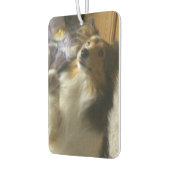 Shetland Sheepdog Begging Luchtverfrisser (Links)