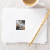 Shetland Sheepdog Blue Merle Eyes Etiket (Insitu)