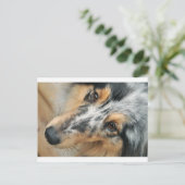 Shetland Sheepdog Briefkaart (Staand voorkant)