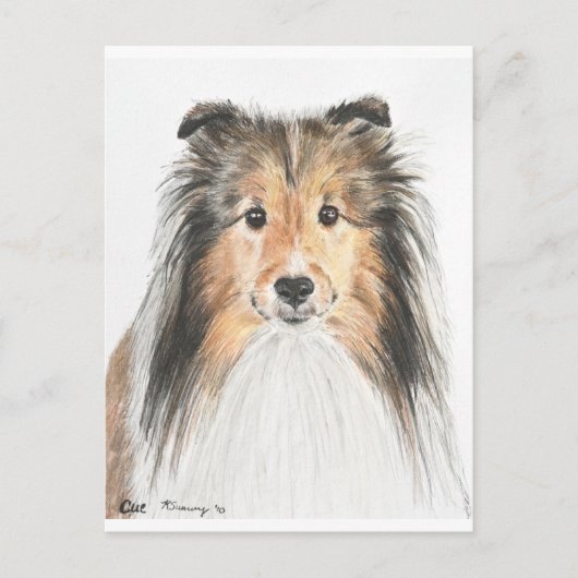 Shetland Sheepdog Briefkaart (Voorkant)