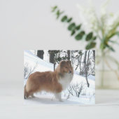 shetland sheepdog briefkaart (Staand voorkant)