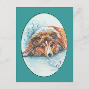 Shetland Sheepdog Briefkaarten