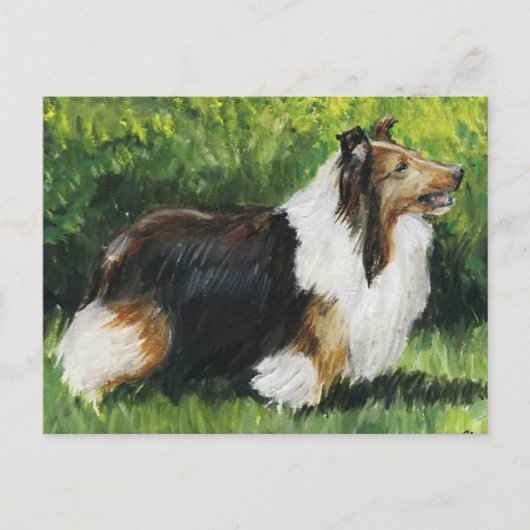 Shetland Sheepdog Dog Art Briefkaart (Voorkant)