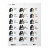 Shetland Sheepdog Etiket (Full Sheet)