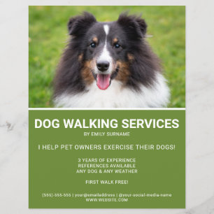 Shetland Sheepdog Foto Green Dog Walker Sjabloon Flyer