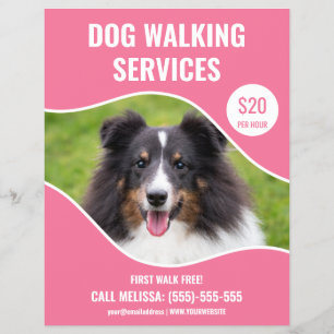 Shetland Sheepdog Foto - Roze Hondenuitlaatservice Flyer