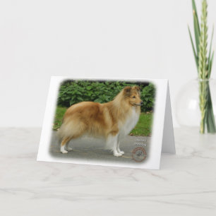 Shetland Sheepdog Kaart