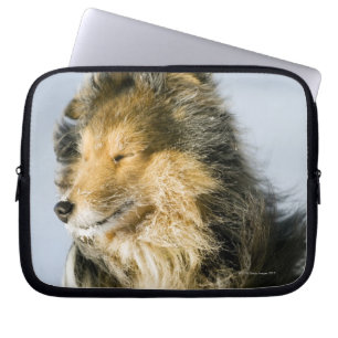 Shetland Sheepdog Laptop Sleeve