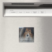 Shetland Sheepdog Magnet (In Situ (Lave-vaisselle))