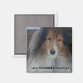 Shetland Sheepdog Magnet Magneet (Voorkant / Achterkant)
