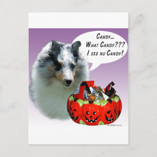 Shetland Sheepdog (Merle) Halloween Candy Briefkaart