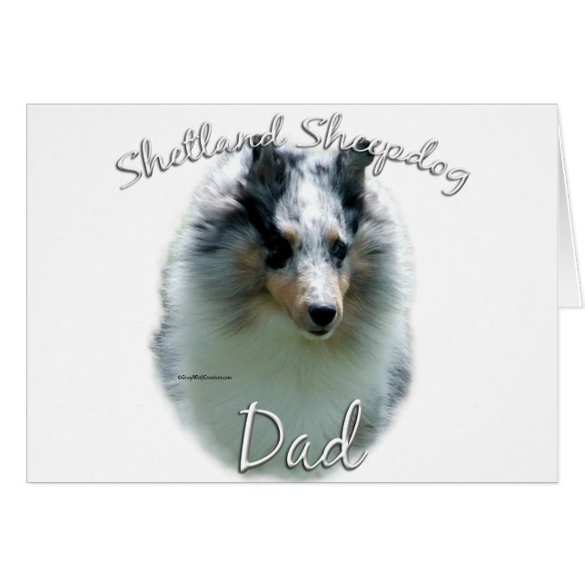 Shetland Sheepdog (merle) Papa 2 (Devant horizontal)