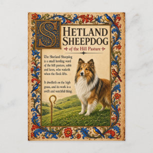 Shetland Sheepdog, Middeleeuwse Bestiarium Kunst Briefkaart