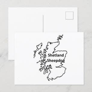 Shetland Sheepdog naam in oorsprong Briefkaart