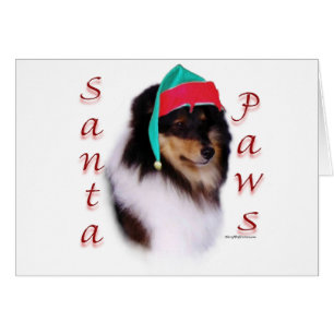 Shetland Sheepdog Père Noël Paws