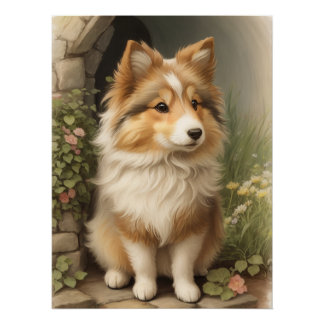 Shetland Sheepdog Perfect Poster