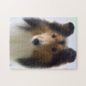 Shetland Sheepdog Photo Jigsaw Puzzle (Horizontal)