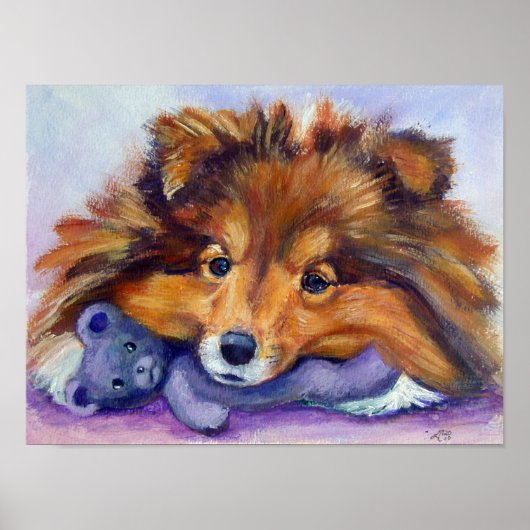 Shetland Sheepdog Print (Voorkant)