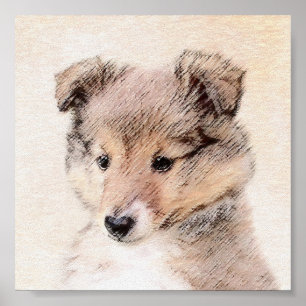 Shetland Sheepdog Puppy Pap Painting Original Dog Poster