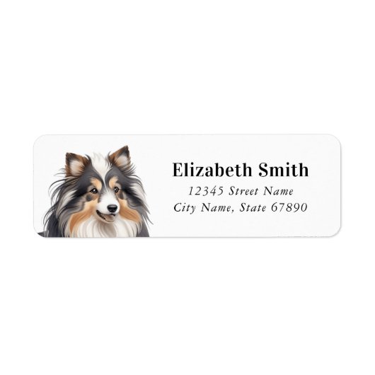 Shetland Sheepdog retouradreslabels Etiket (Voorkant)