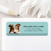 Shetland Sheepdog retouradreslabels Etiket (Insitu)