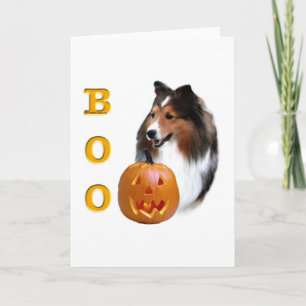 Shetland Sheepdog (sable) Boo Kaart