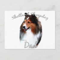 Shetland Sheepdog (sable) Pa 2