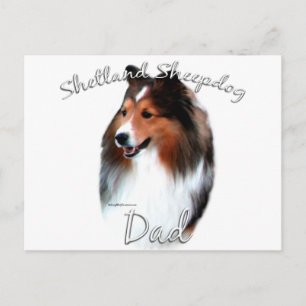 Shetland Sheepdog (sable) Pa 2 Briefkaart