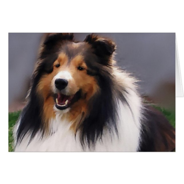 Shetland Sheepdog Sheltie Cadeaux (Devant horizontal)