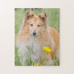 Shetland Sheepdog - Sheltie Dog Legpuzzel