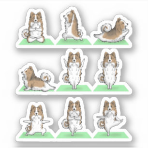 Shetland Sheepdog Sheltie Dog Yoga Pose Workout Ex Sticker