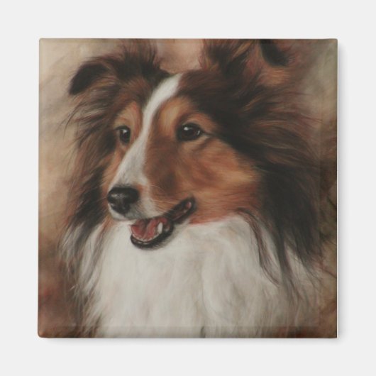 Shetland Sheepdog Sheltie glimlachen Magneet (Voorkant)