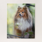 Shetland Sheepdog Sheltie kleine hond in het bos Legpuzzel (Verticaal)
