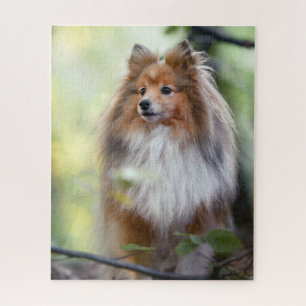 Shetland Sheepdog Sheltie kleine hond in het bos Legpuzzel