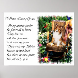 Shetland Sheepdog Sheltie Kunst Cadeaus Poster