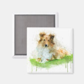 Shetland Sheepdog / Sheltie Magneet (Voorkant / Achterkant)