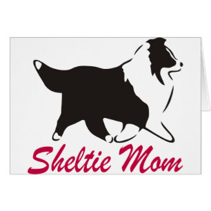 Shetland Sheepdog Sheltie mama