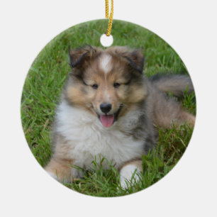 Shetland Sheepdog - Sheltie Puppy Dog Keramisch Ornament