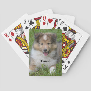 Shetland Sheepdog - Sheltie Puppy Dog Pokerkaarten