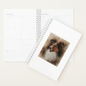 Shetland Sheepdog Sheltie sourire (Devant avec enveloppe)