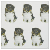 Shetland Sheepdog Stof (Swatch)